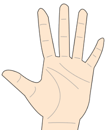 hand11.gif