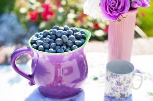 blueberries-864628_1280.jpg