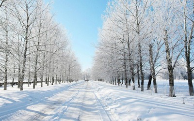 雪景色.jpgのサムネール画像