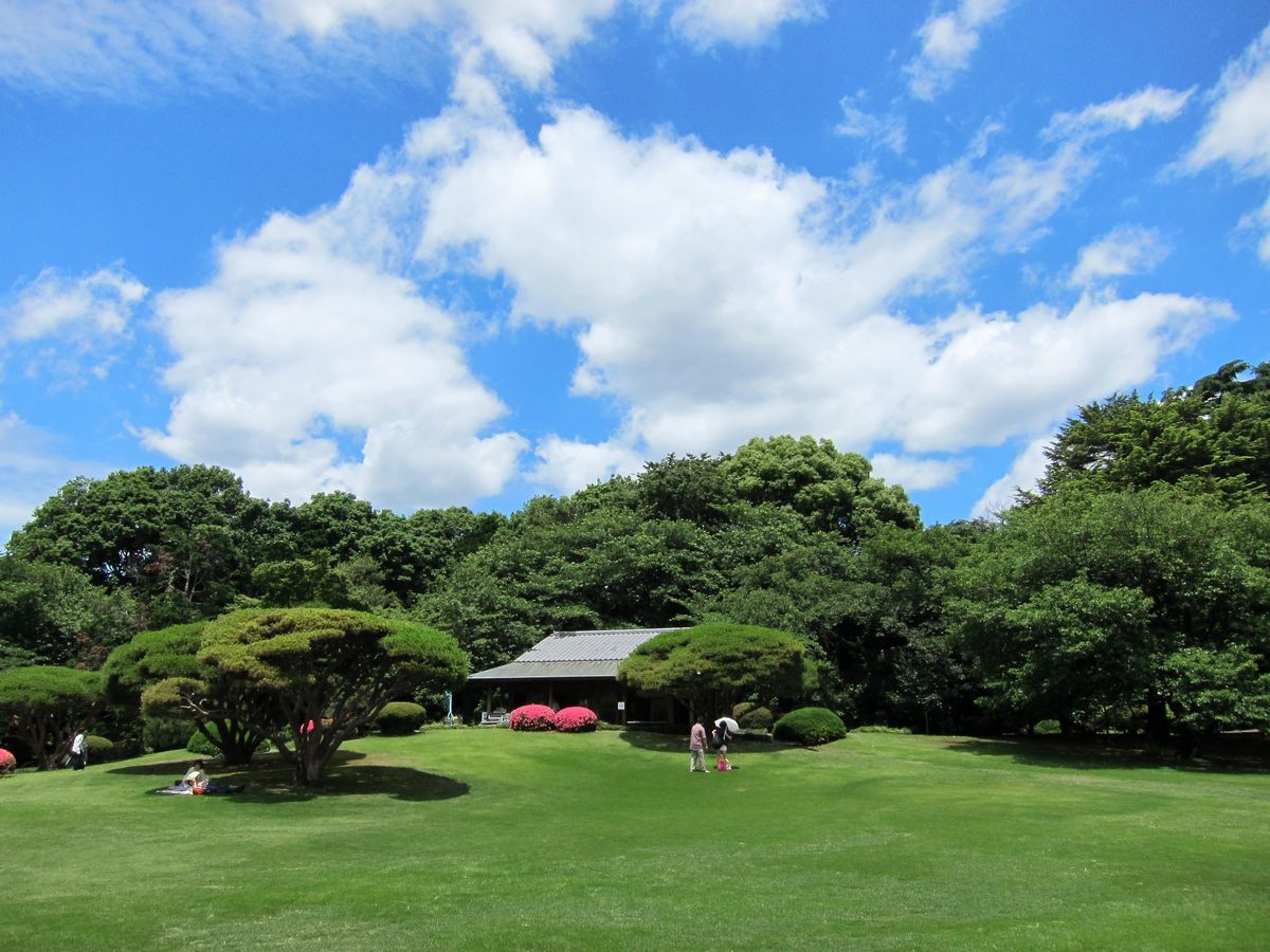 新宿御苑の緑の芝生.jpg