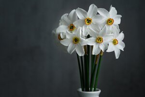 daffodils-g6732ba423_1920.jpg