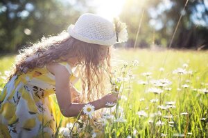 picking-flowers-ga476b28aa_1920.jpg