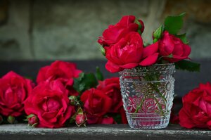 roses-ga2216939f_1920.jpg