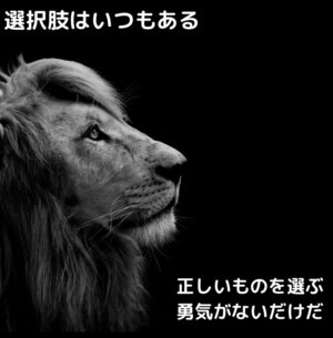 50FACA03-50BB-4192-8244-AB9AA10C6756_1_105_c.jpeg
