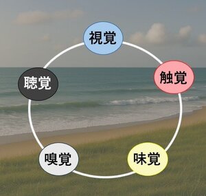 五感.jpg